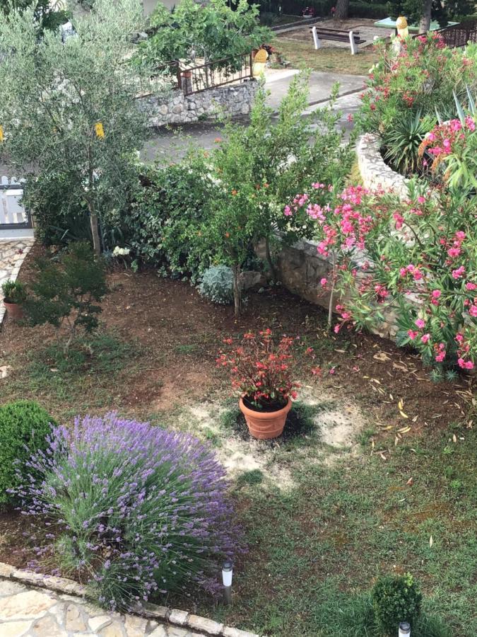 Apartmani Misic Ždrelac Exteriör bild